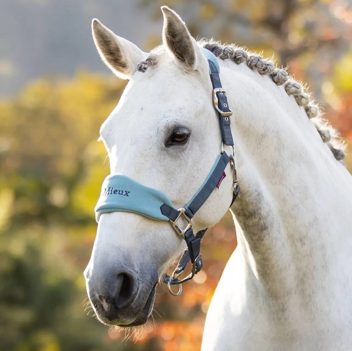 LeMieux Vogue Headcollar & Lead Rope