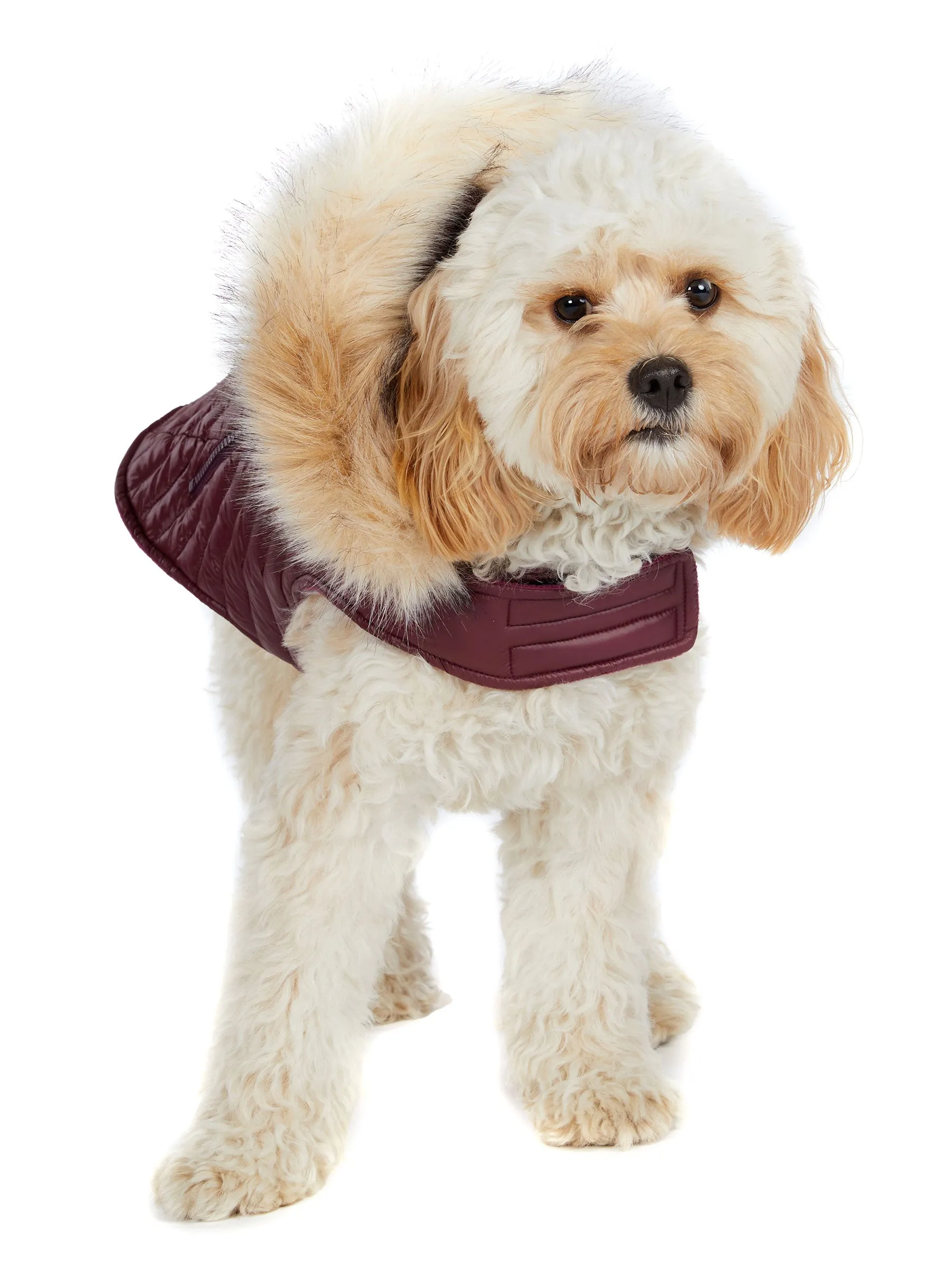 Zola Jacket for Dogs w/Faux Fur Trim